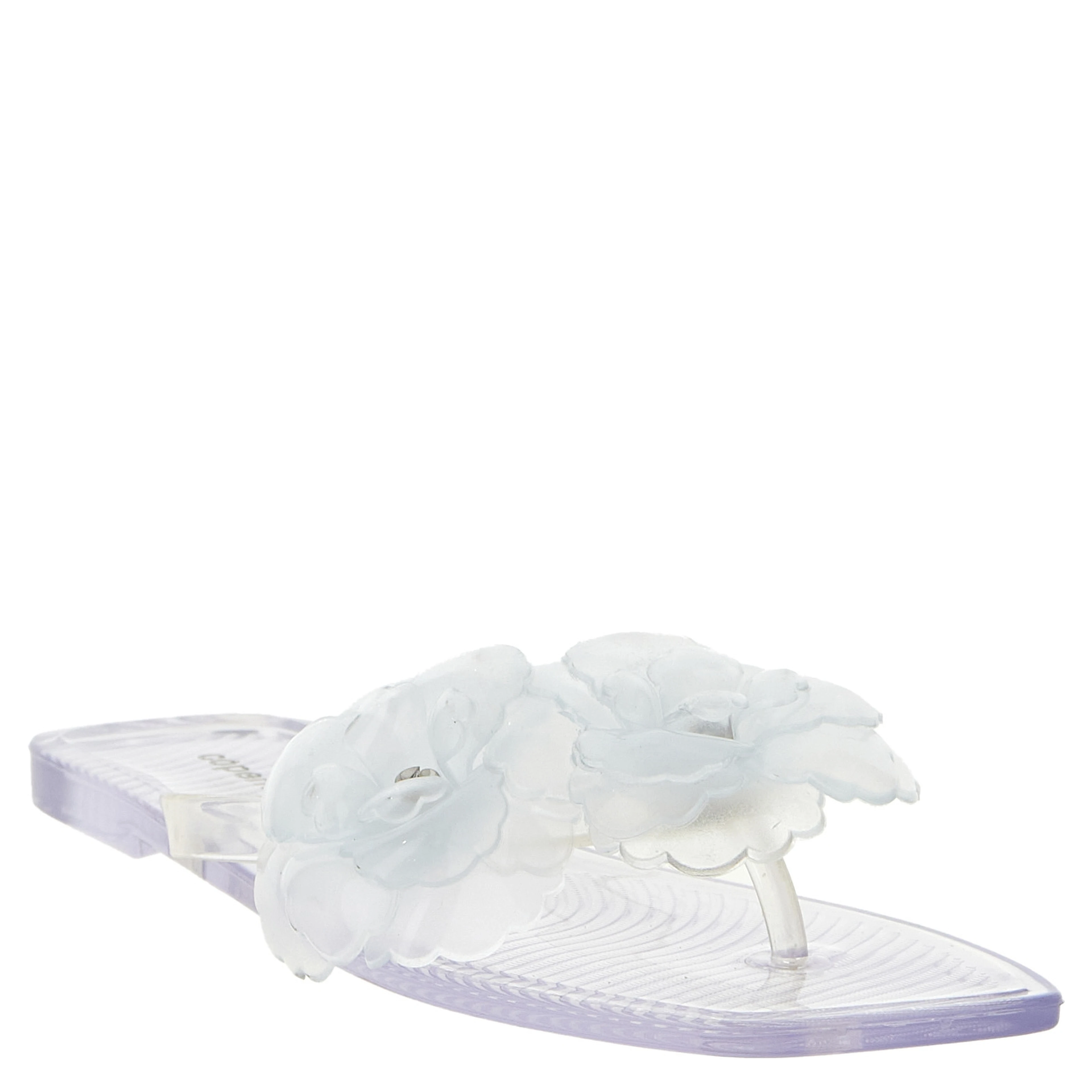 Transparent Pvc Slides