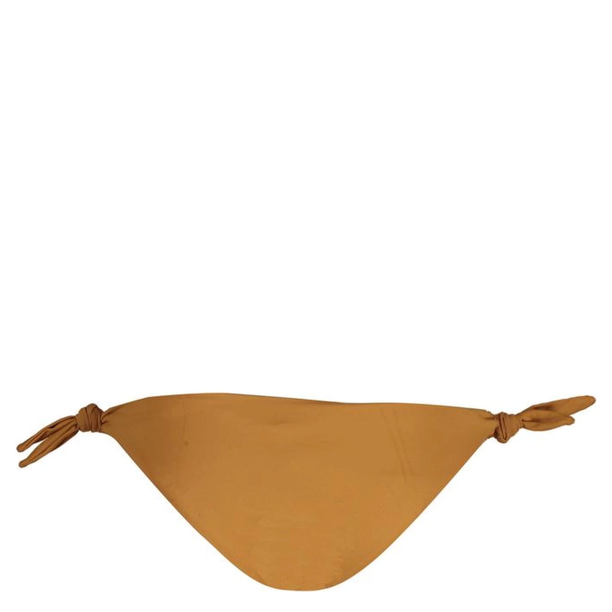 Marrone Poliammide Women's Swim Brief