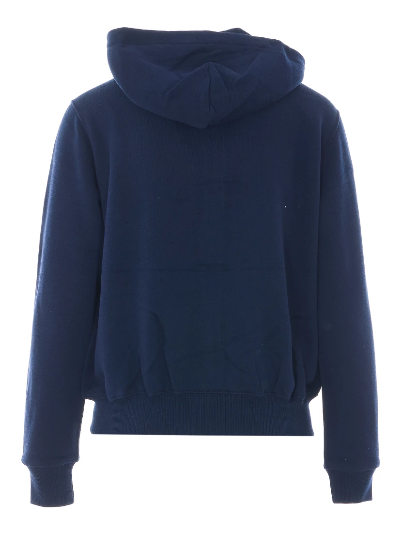 Polo Ralph Lauren Sweaters Blue