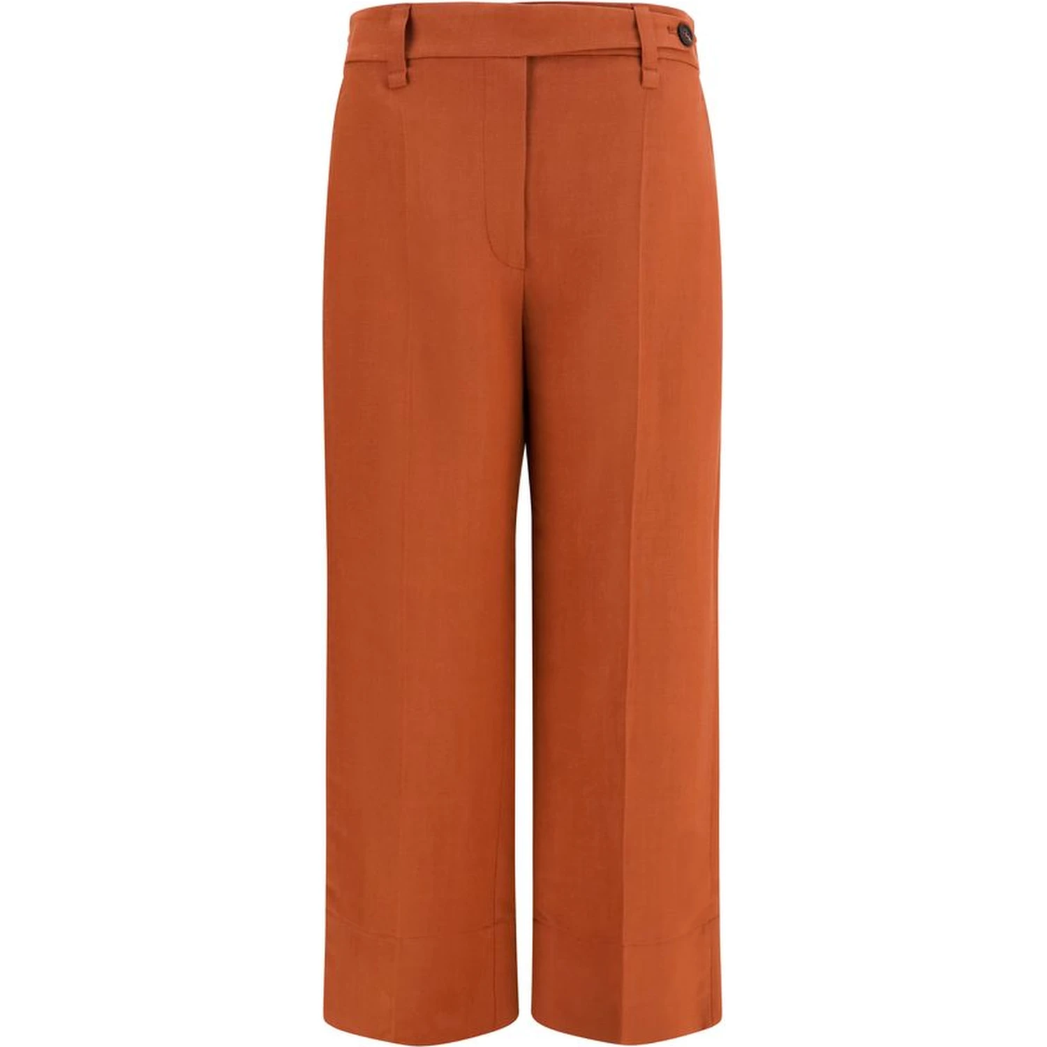 Brown Viscose Casual Pants