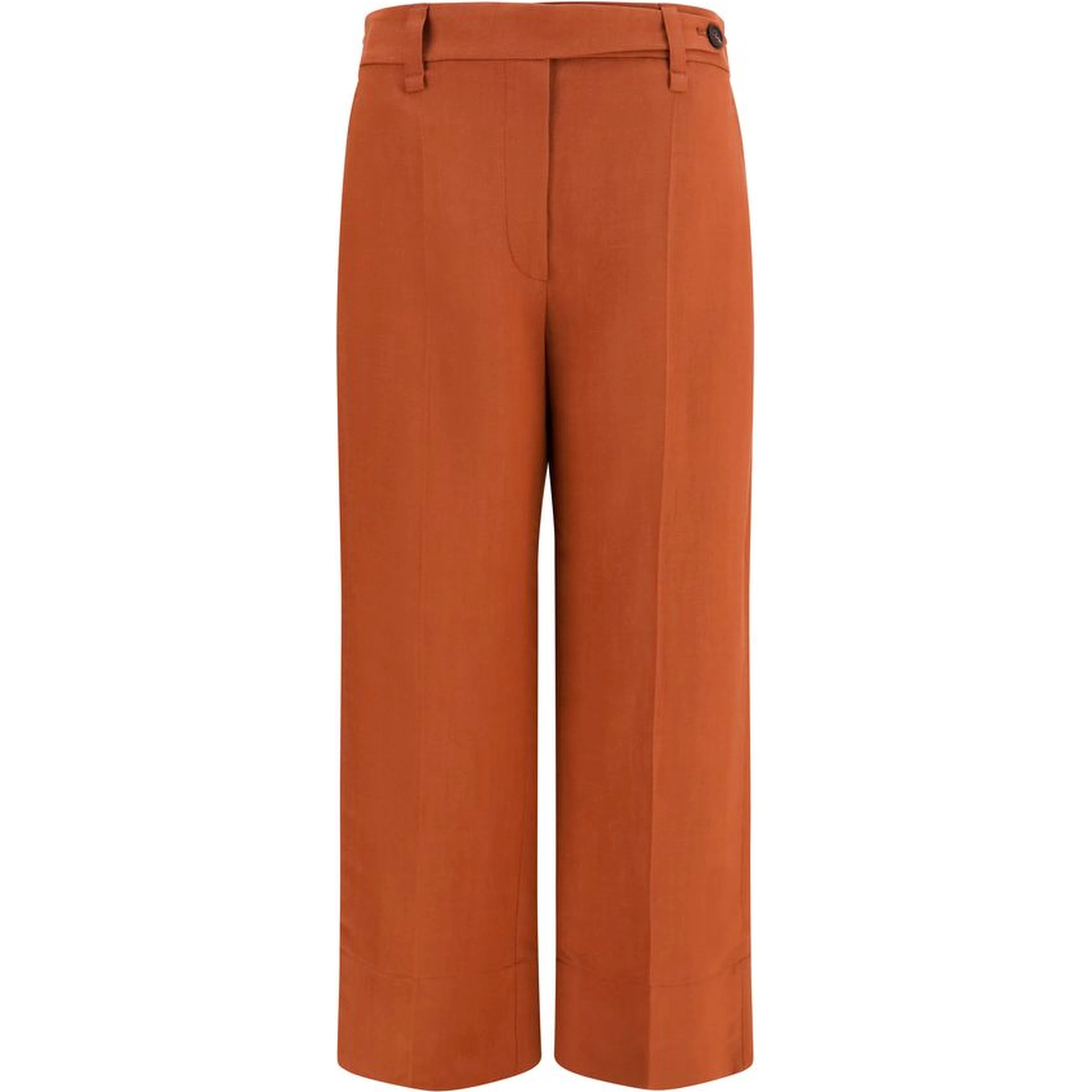 Brown Viscose Casual Pants