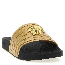 Gold Glass Slides