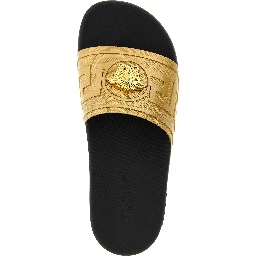 Gold Glass Slides