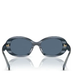 Blue Acetate Sunglasses