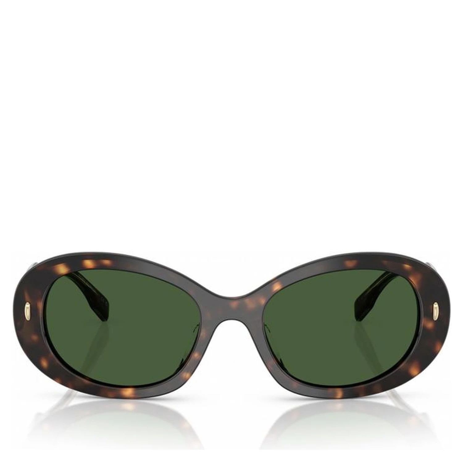 Brown Acetate Sunglasses