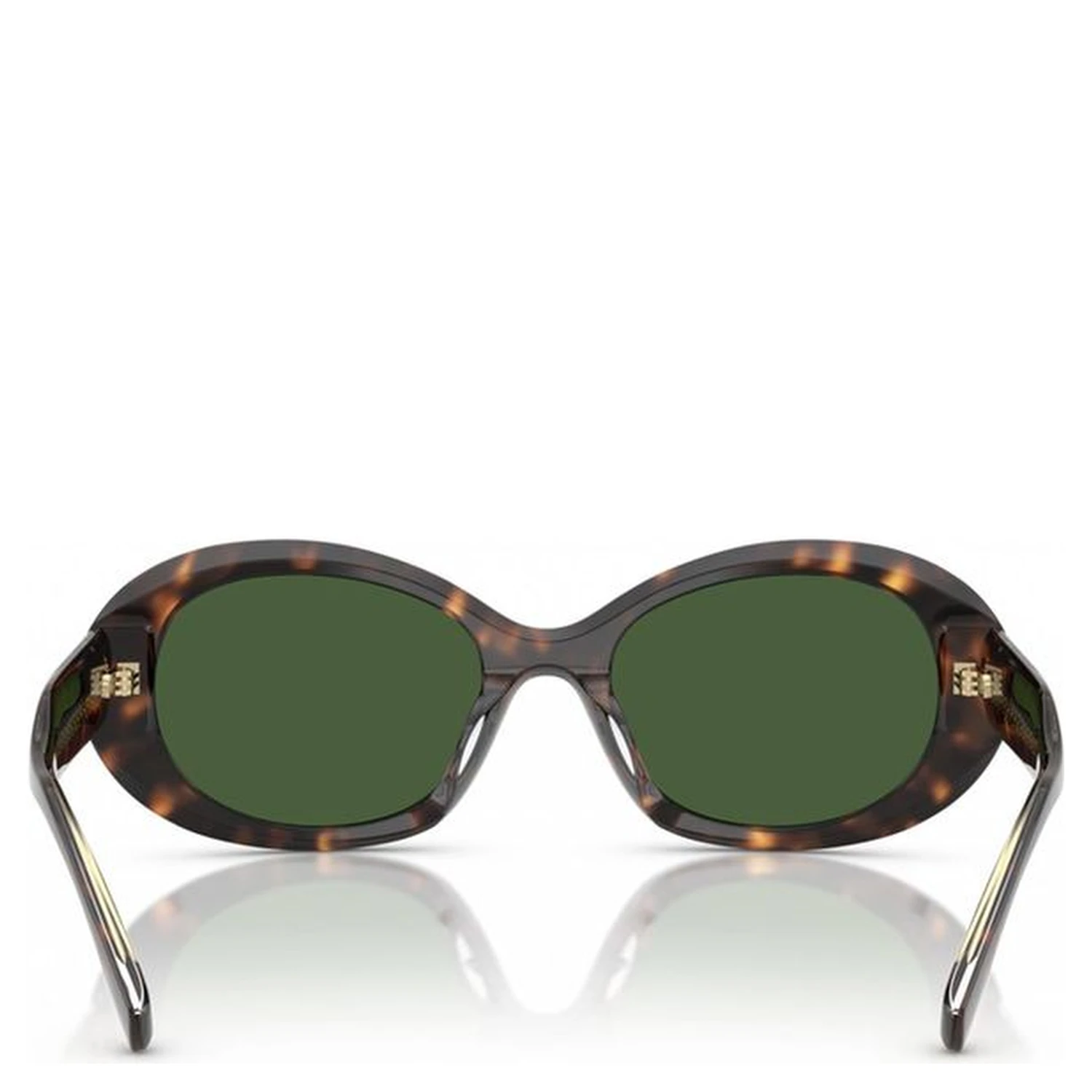 Brown Acetate Sunglasses