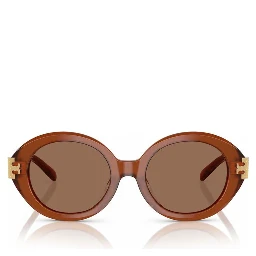 Brown Acetate Sunglasses