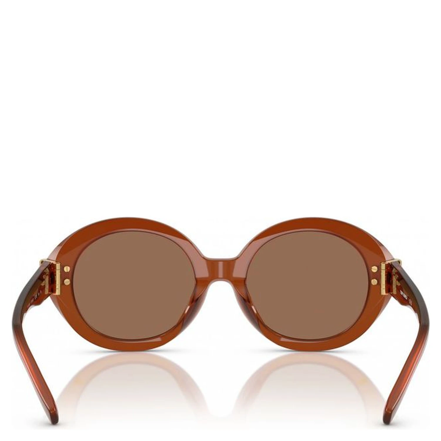 Brown Acetate Sunglasses