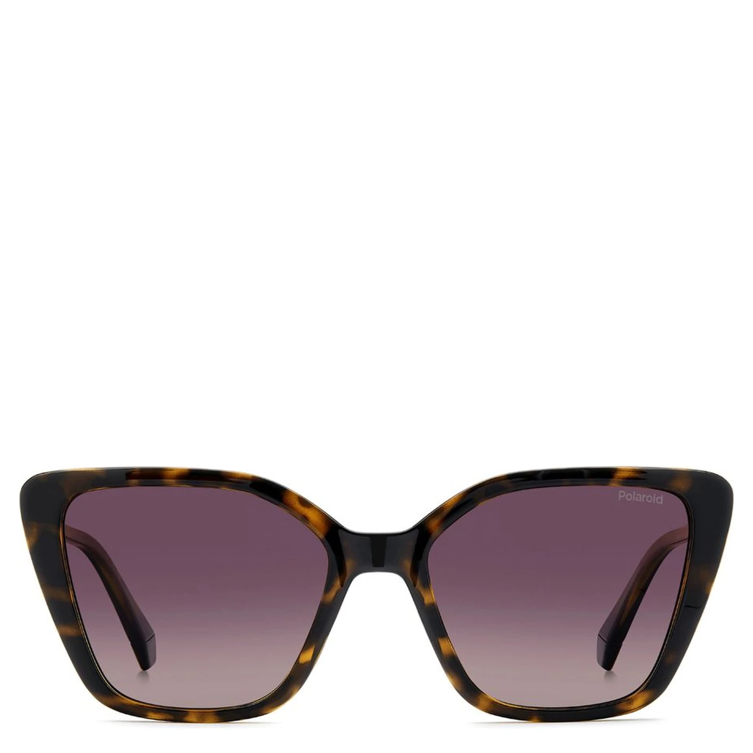 Brown Polycarbonate Sunglasses
