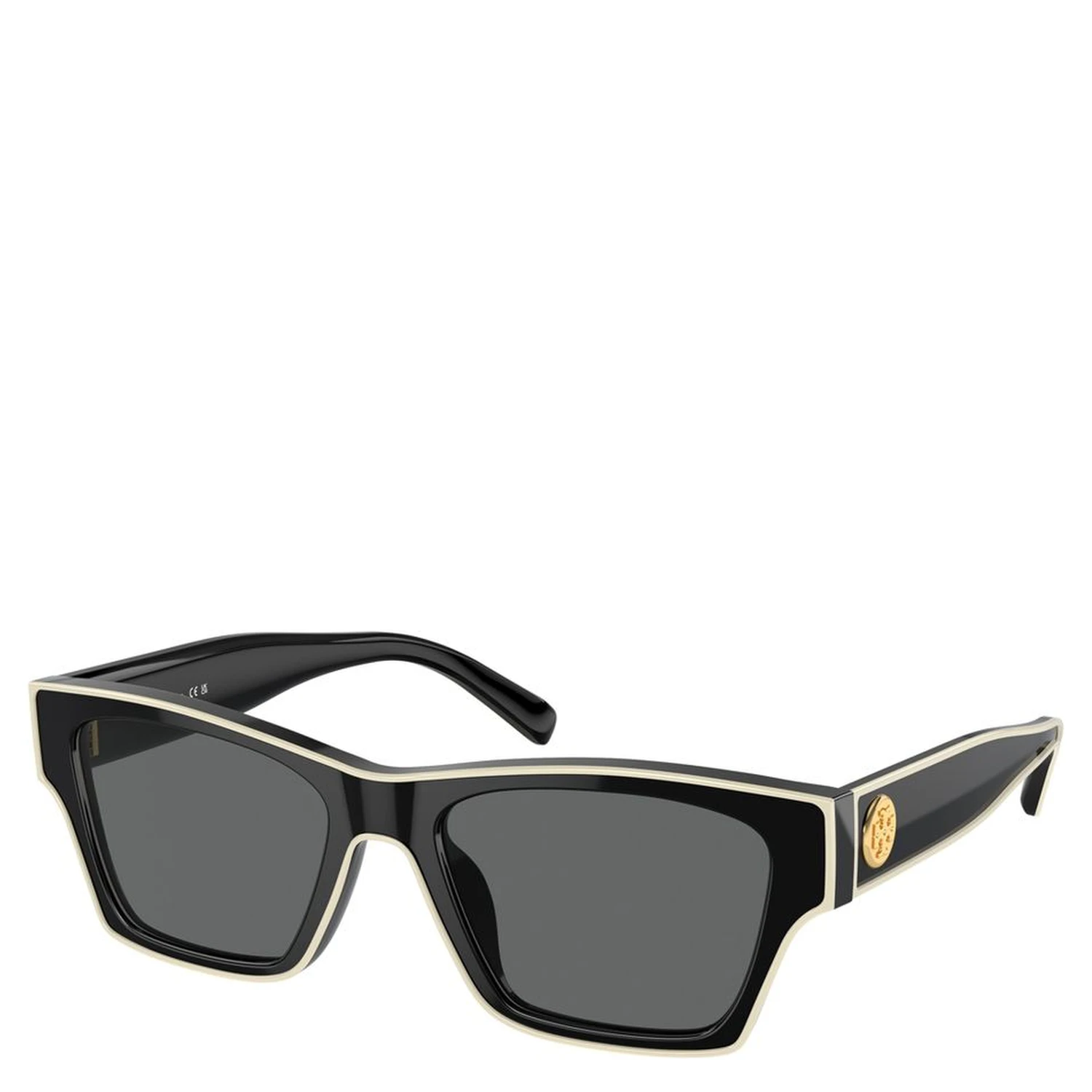 Black Acetate Sunglasses