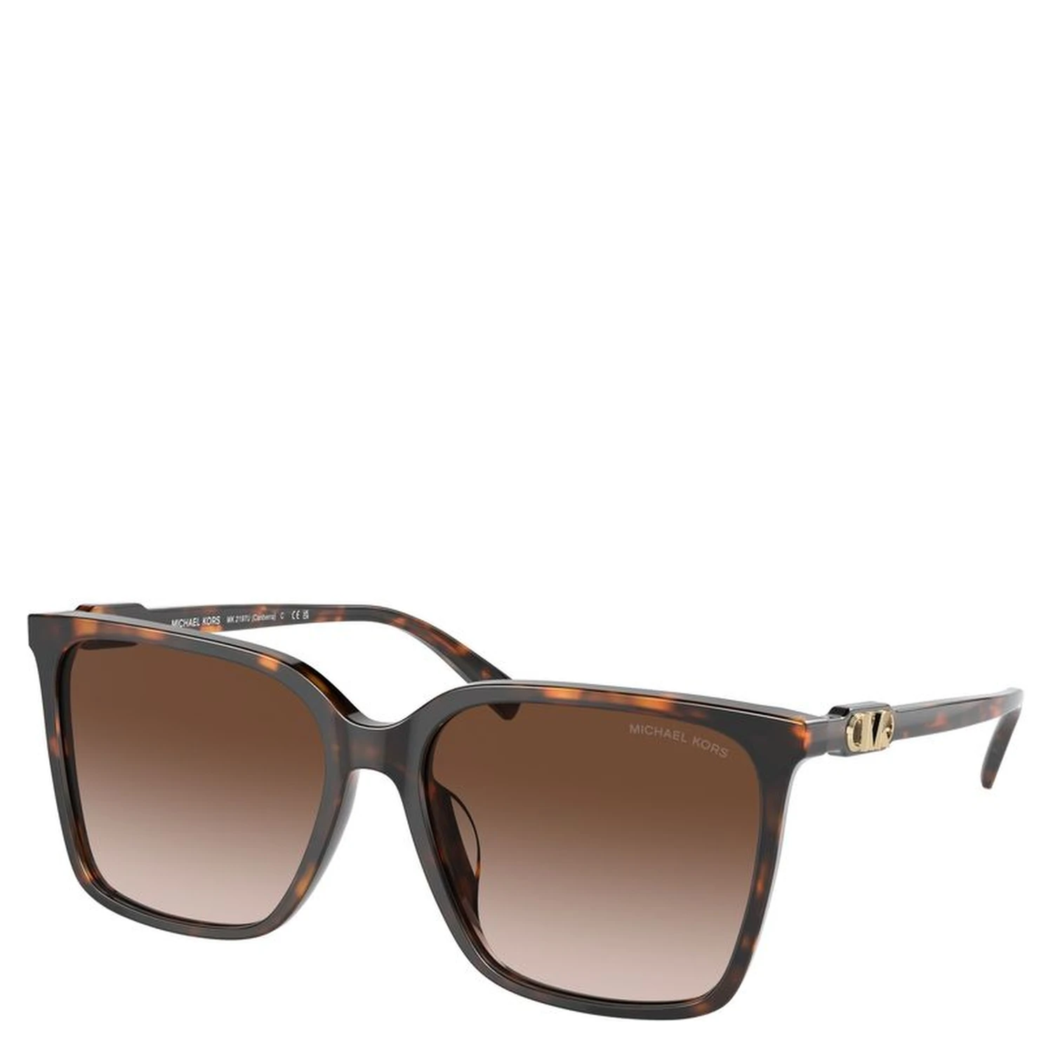 Brown Acetate Sunglasses