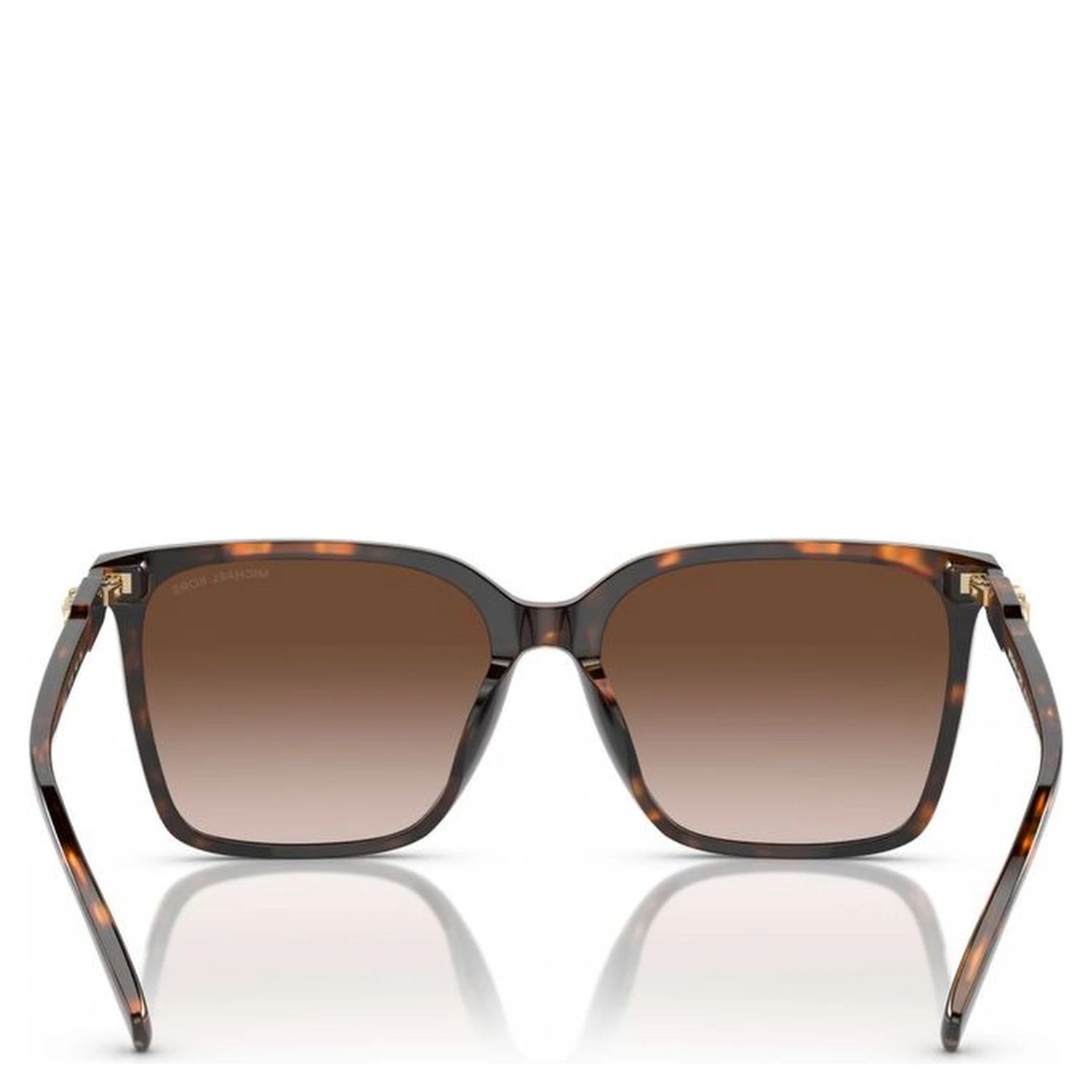 Brown Acetate Sunglasses