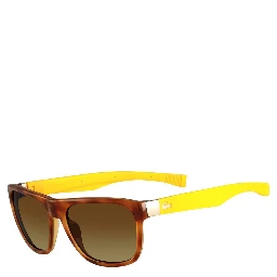 Brown Injected Sunglasses