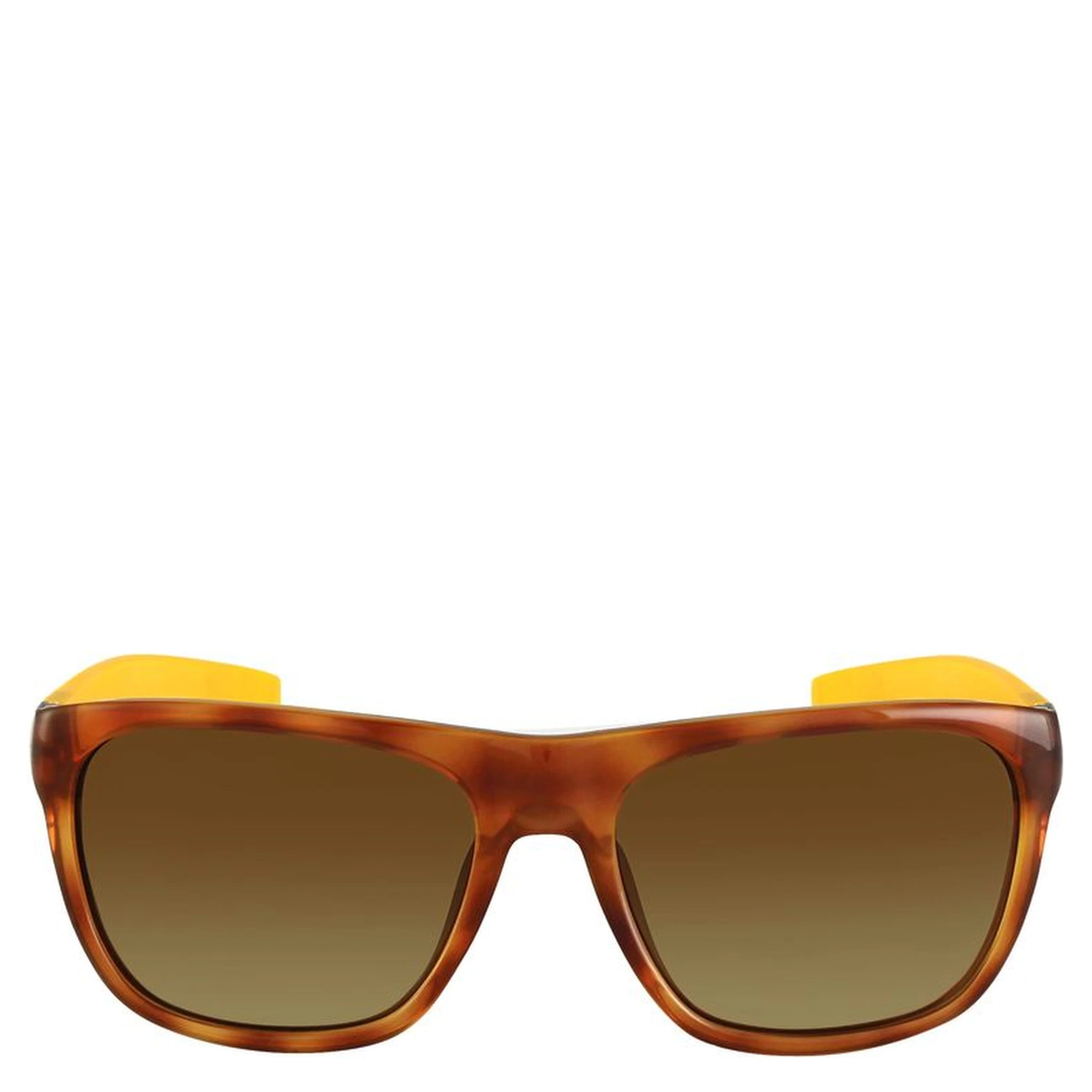 Brown Injected Sunglasses