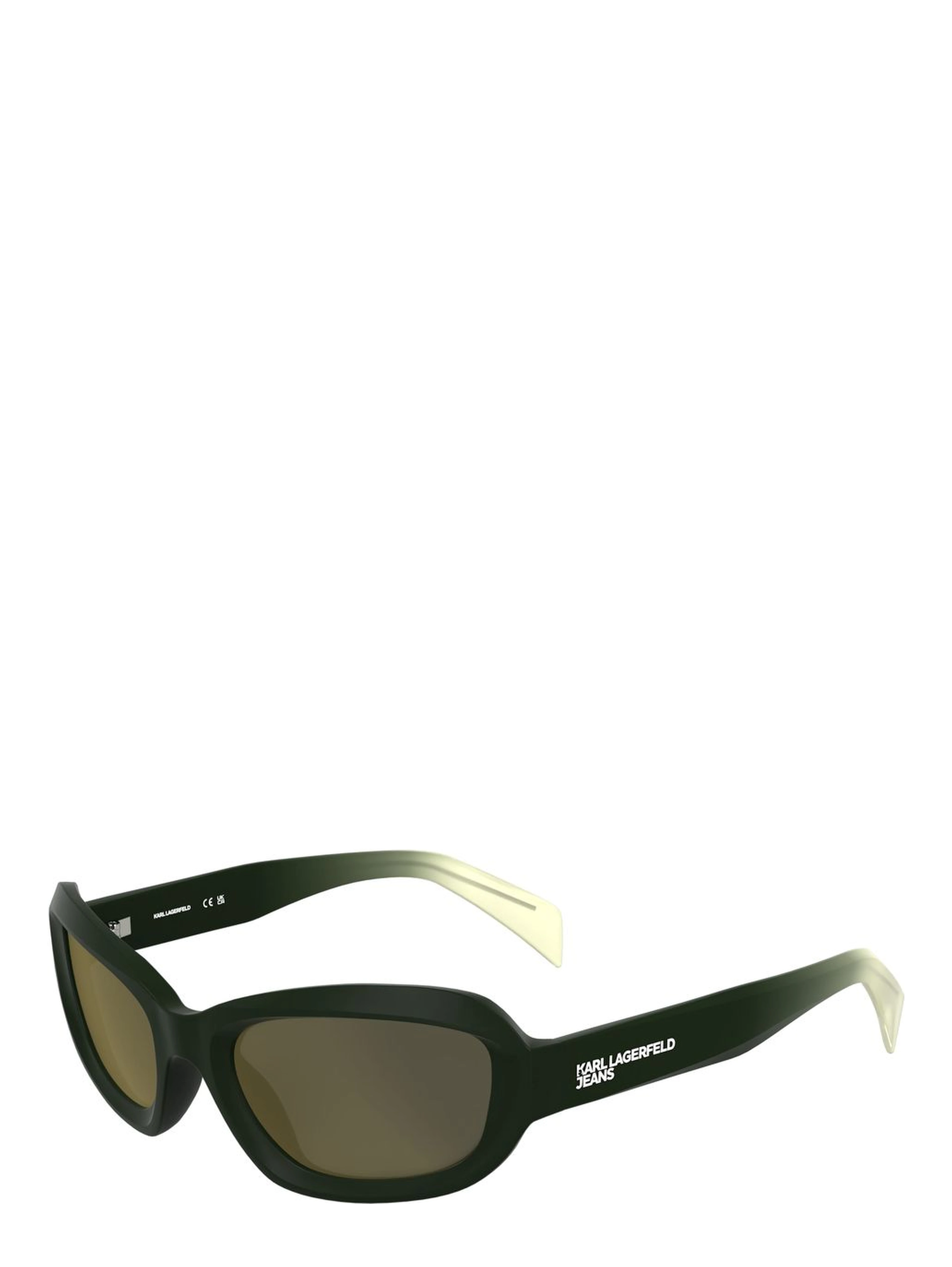 Brown Injected Sunglasses
