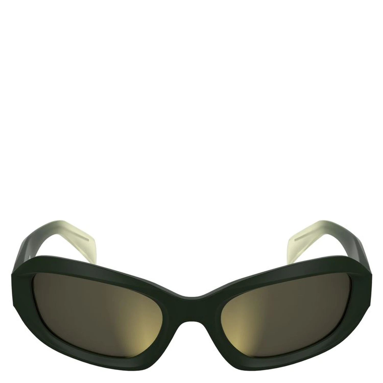 Brown Injected Sunglasses