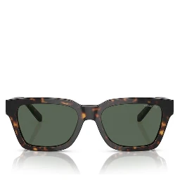 Brown Injected Sunglasses