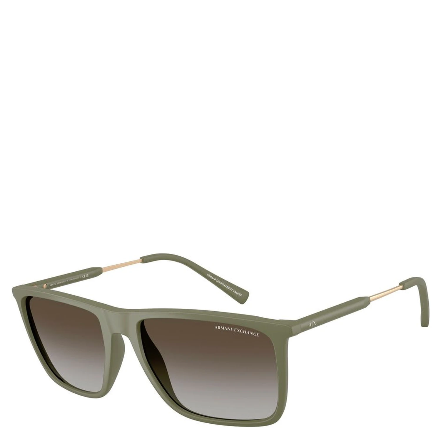 Bicolor Injected Sunglasses