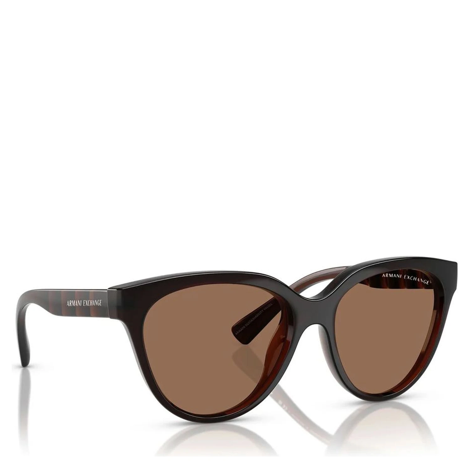 Brown Injected Sunglasses