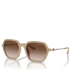 Brown Injected Sunglasses