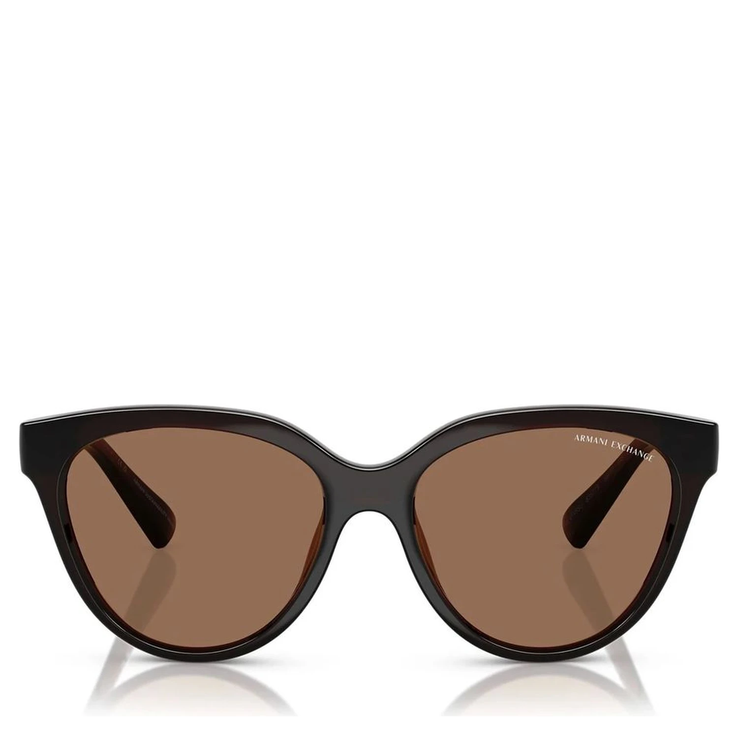 Brown Injected Sunglasses