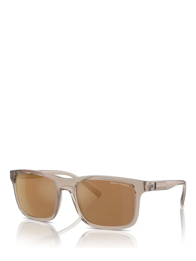 Brown Injected Sunglasses