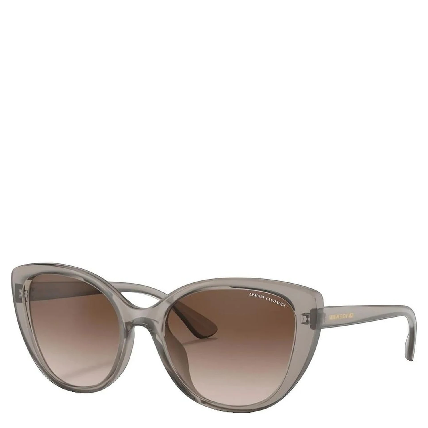 Brown Injected Sunglasses