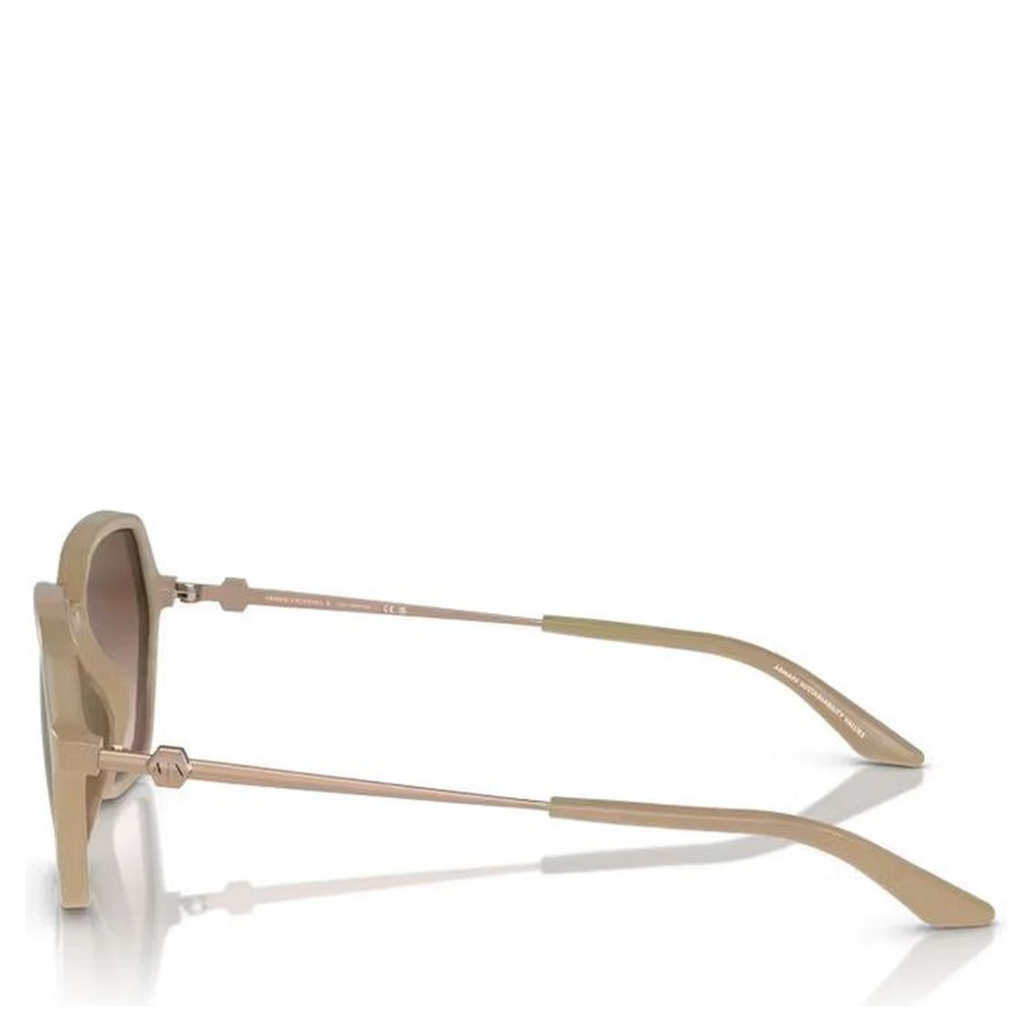 Brown Injected Sunglasses
