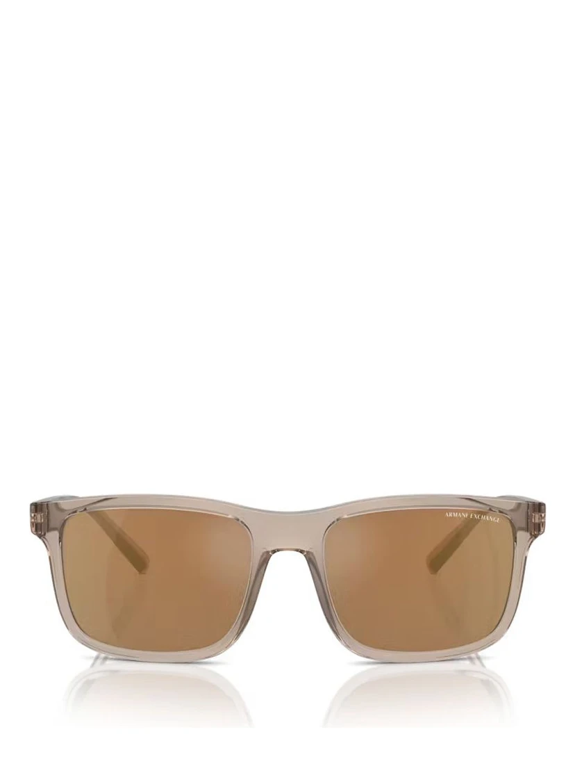 Brown Injected Sunglasses