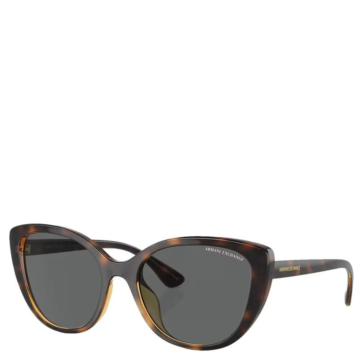 Brown Injected Sunglasses
