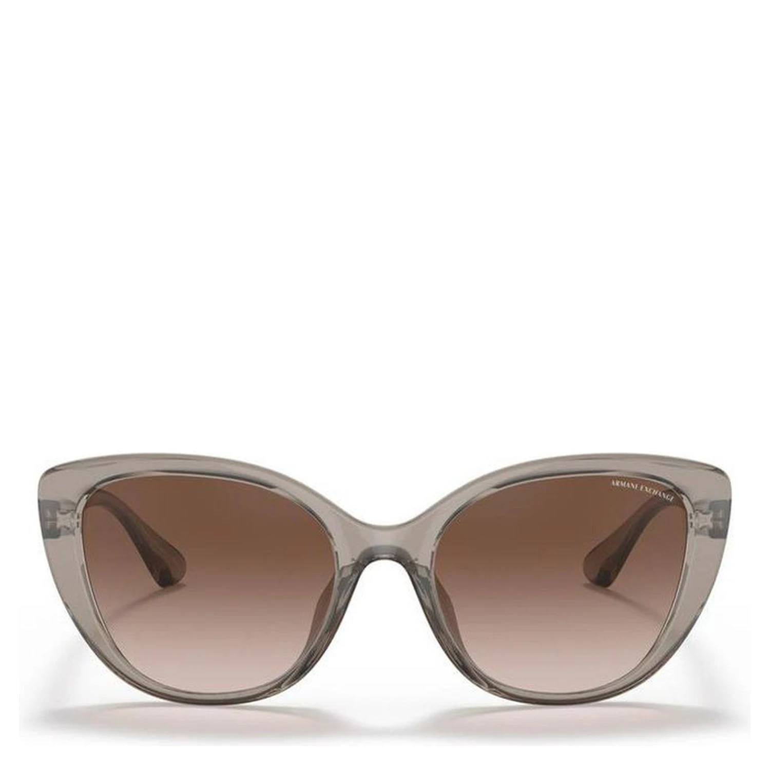 Brown Injected Sunglasses