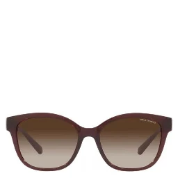 Multicolor Injected Sunglasses
