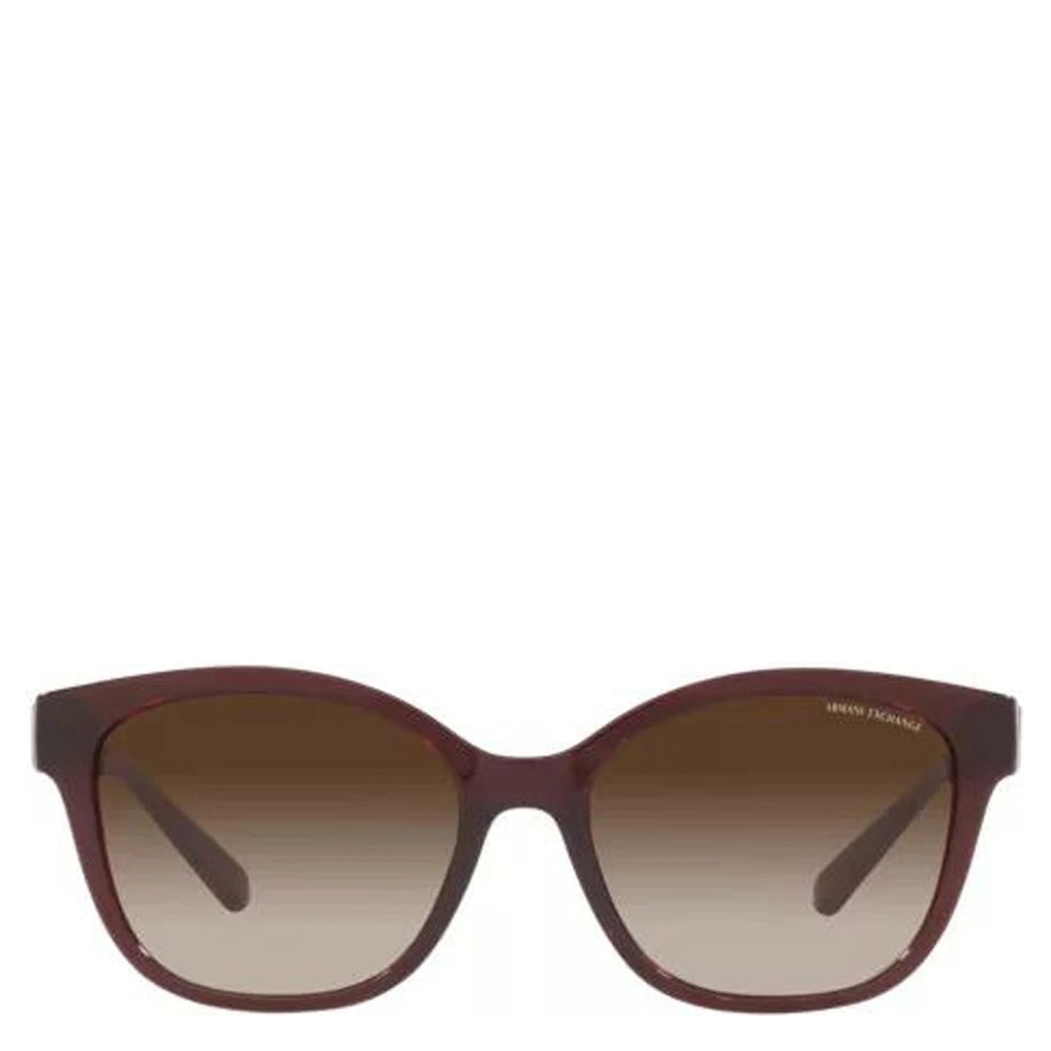 Multicolor Injected Sunglasses