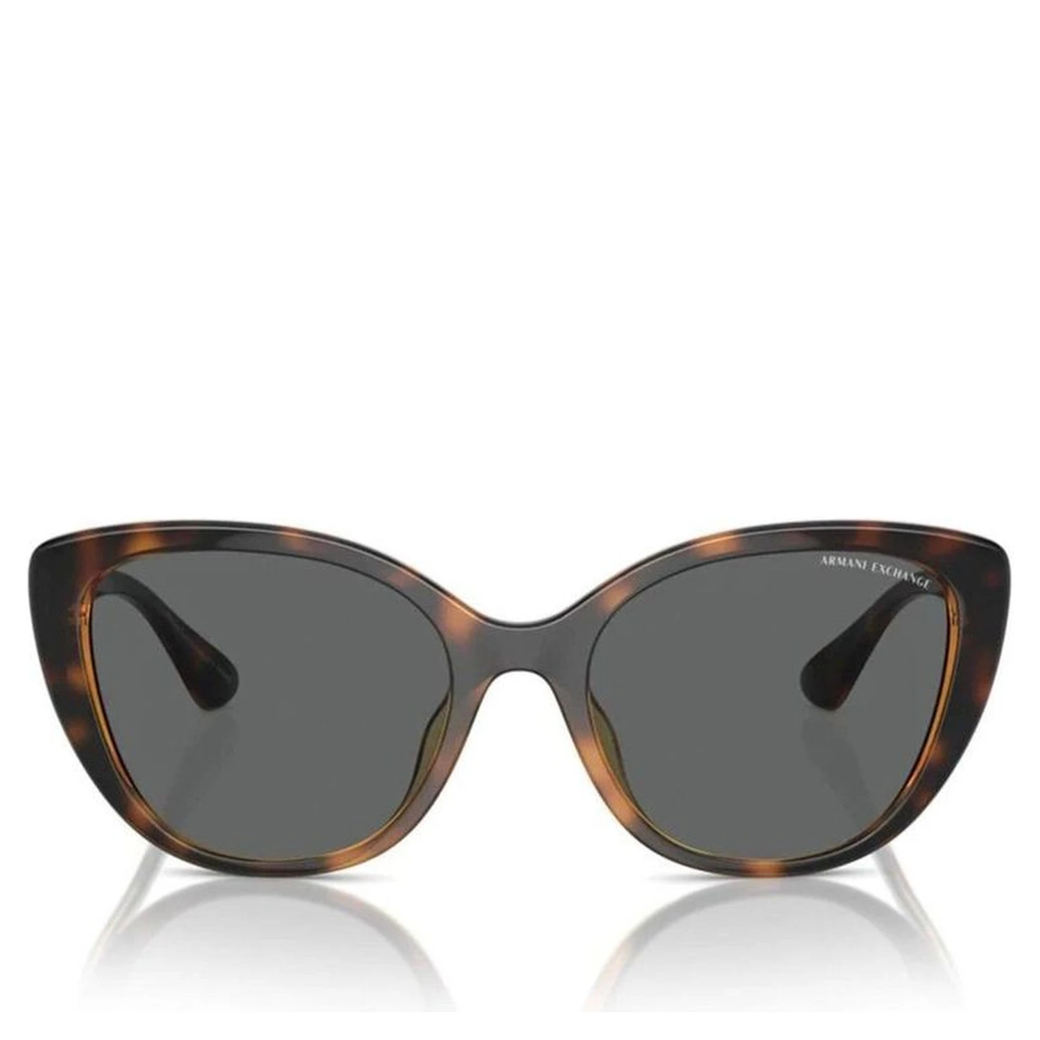 Brown Injected Sunglasses