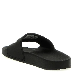 Bicolor Plastic Slides