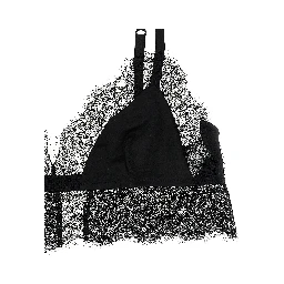 Black Silk Bra