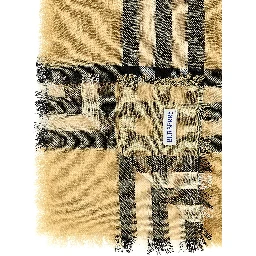 Beige Wool Scarf