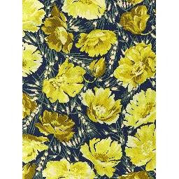 Bicolor Silk Foulard