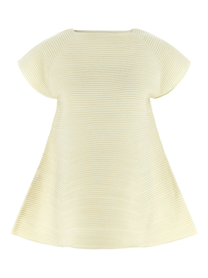 Bicolor Polyester Short Dress
