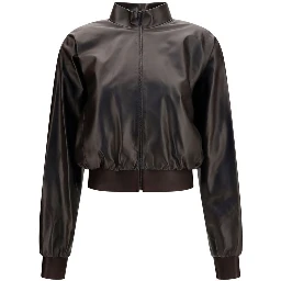 Brown Lamb Ovis Aries Aries Bomber