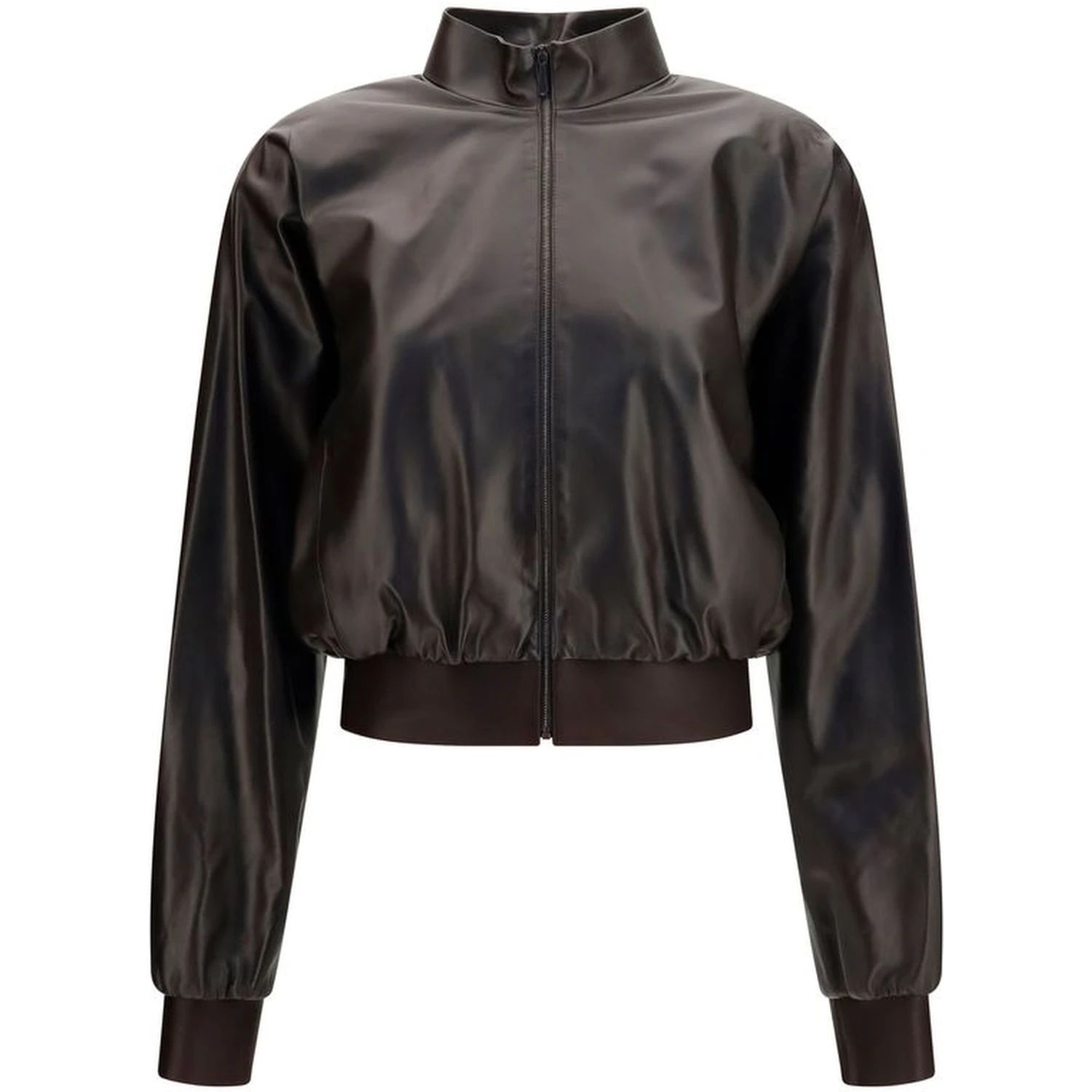 Brown Lamb Ovis Aries Aries Bomber