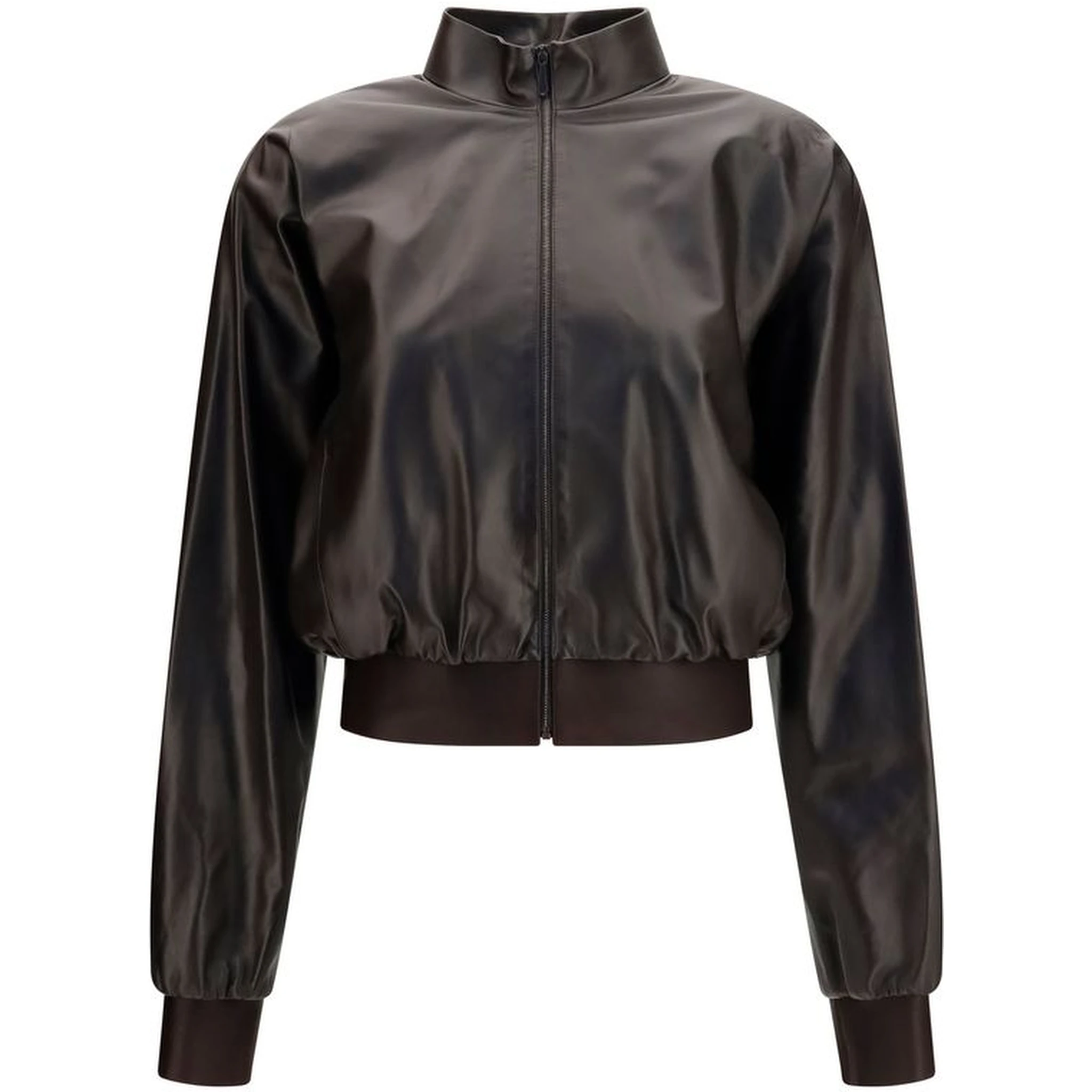 Brown Lamb Ovis Aries Aries Bomber