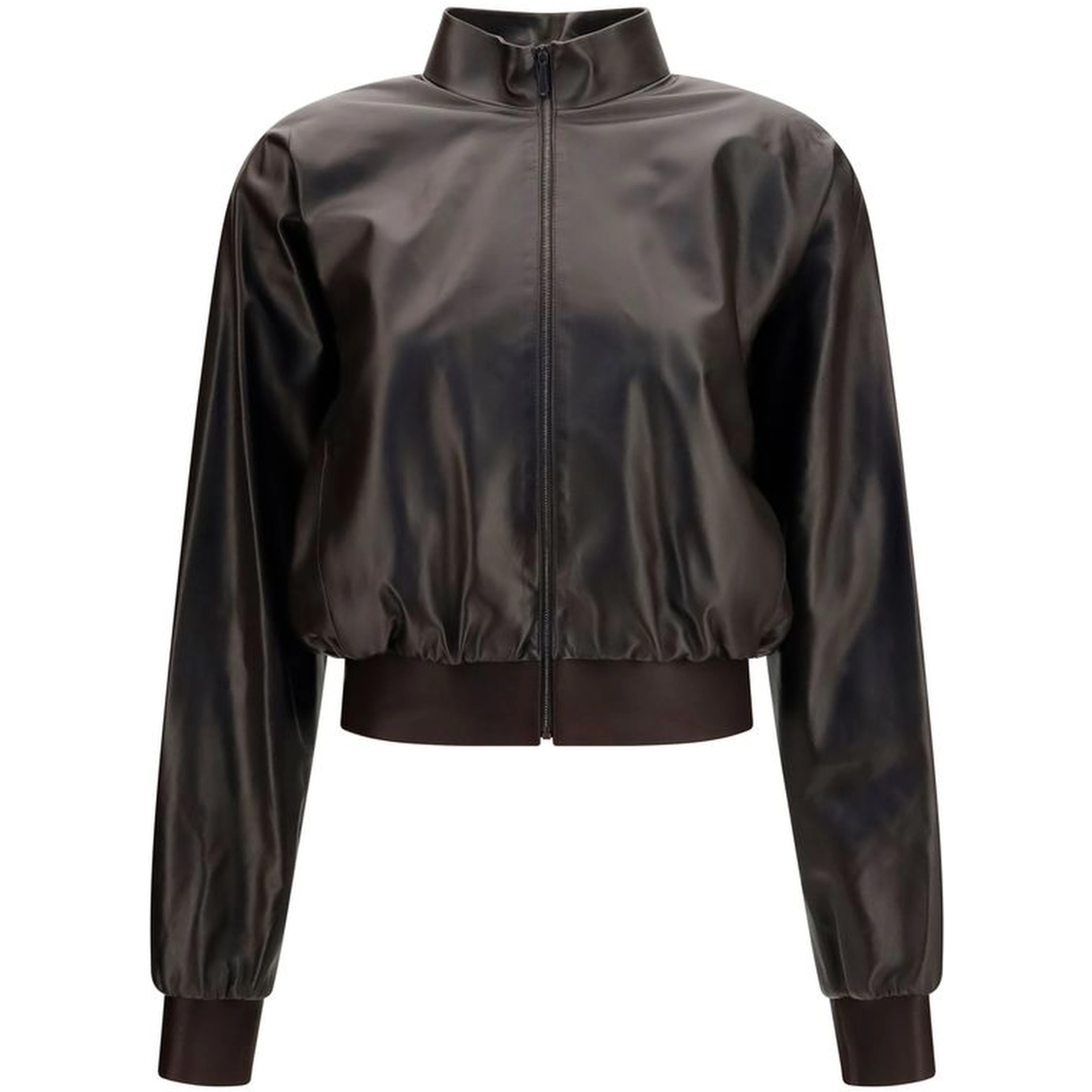 Brown Lamb Ovis Aries Aries Bomber
