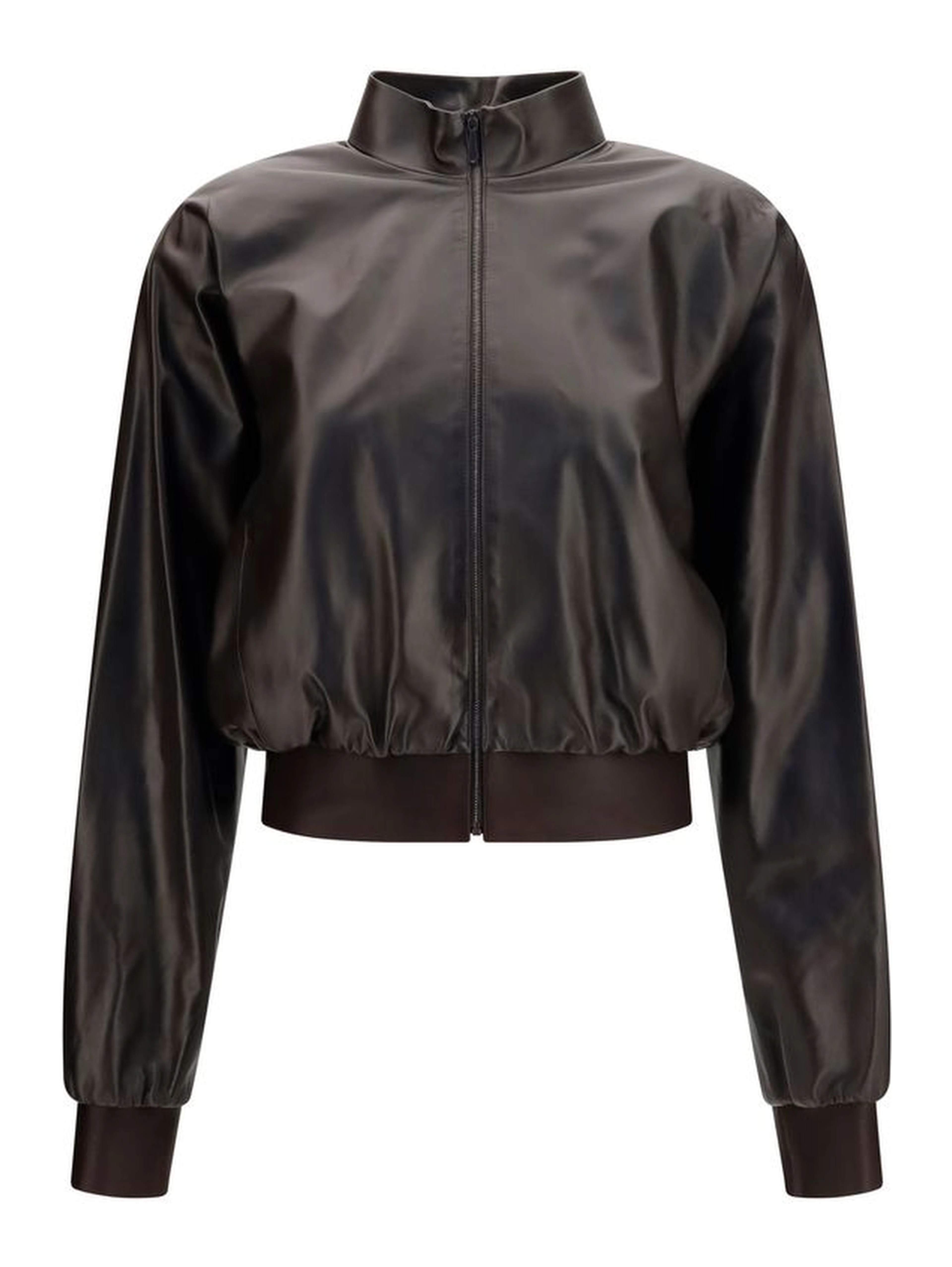 Brown Lamb Ovis Aries Aries Bomber