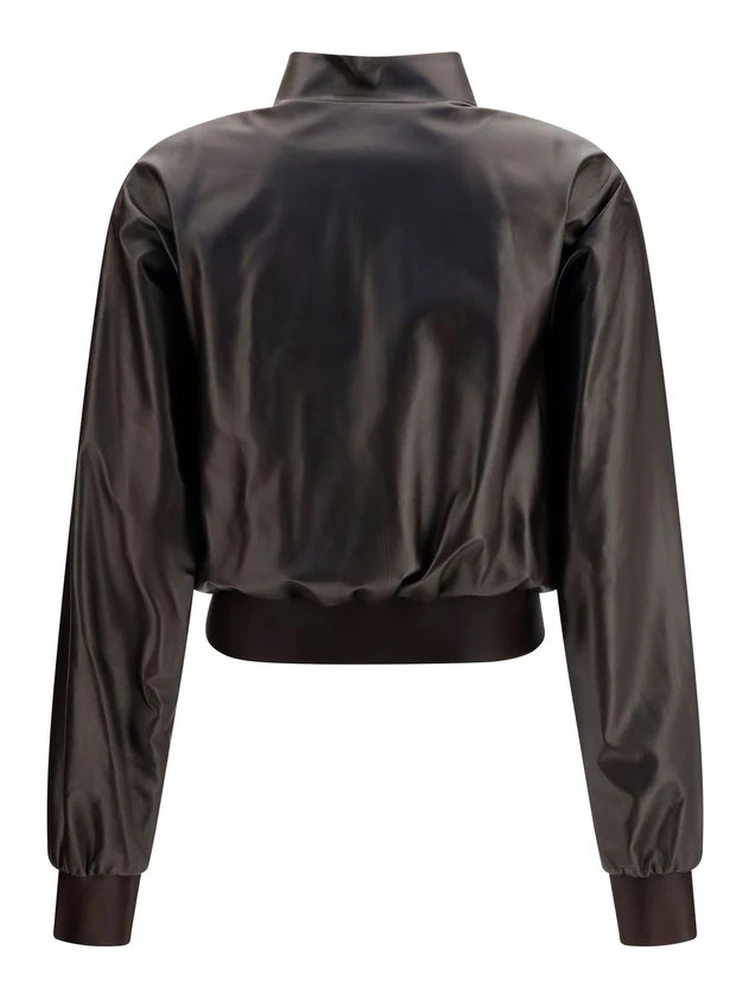 خروف بني Ovis Aries Aries Bomber alternative
