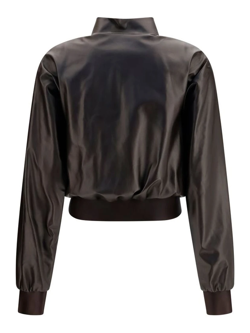خروف بني Ovis Aries Aries Bomber