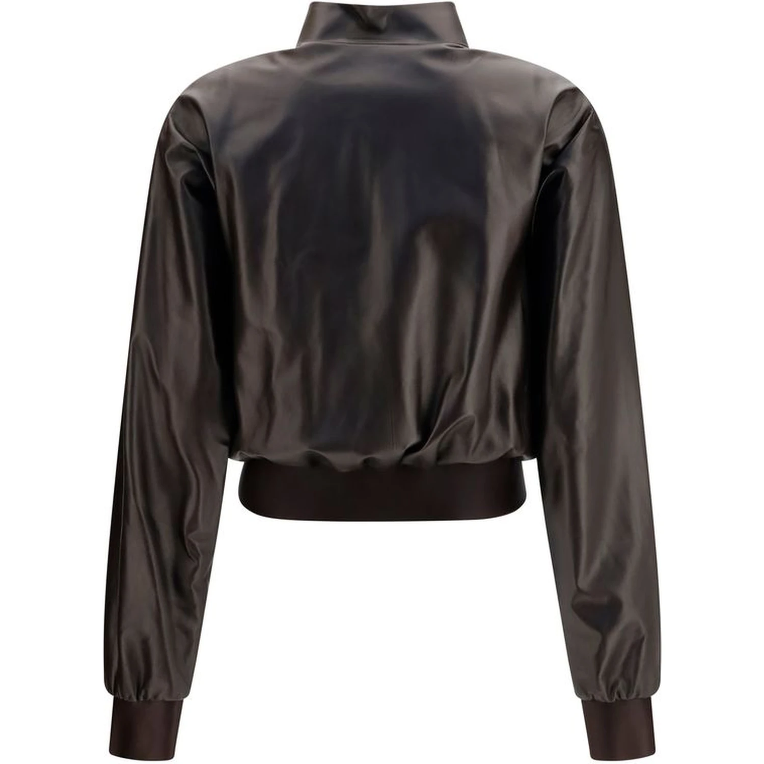Brown Lamb Ovis Aries Aries Bomber