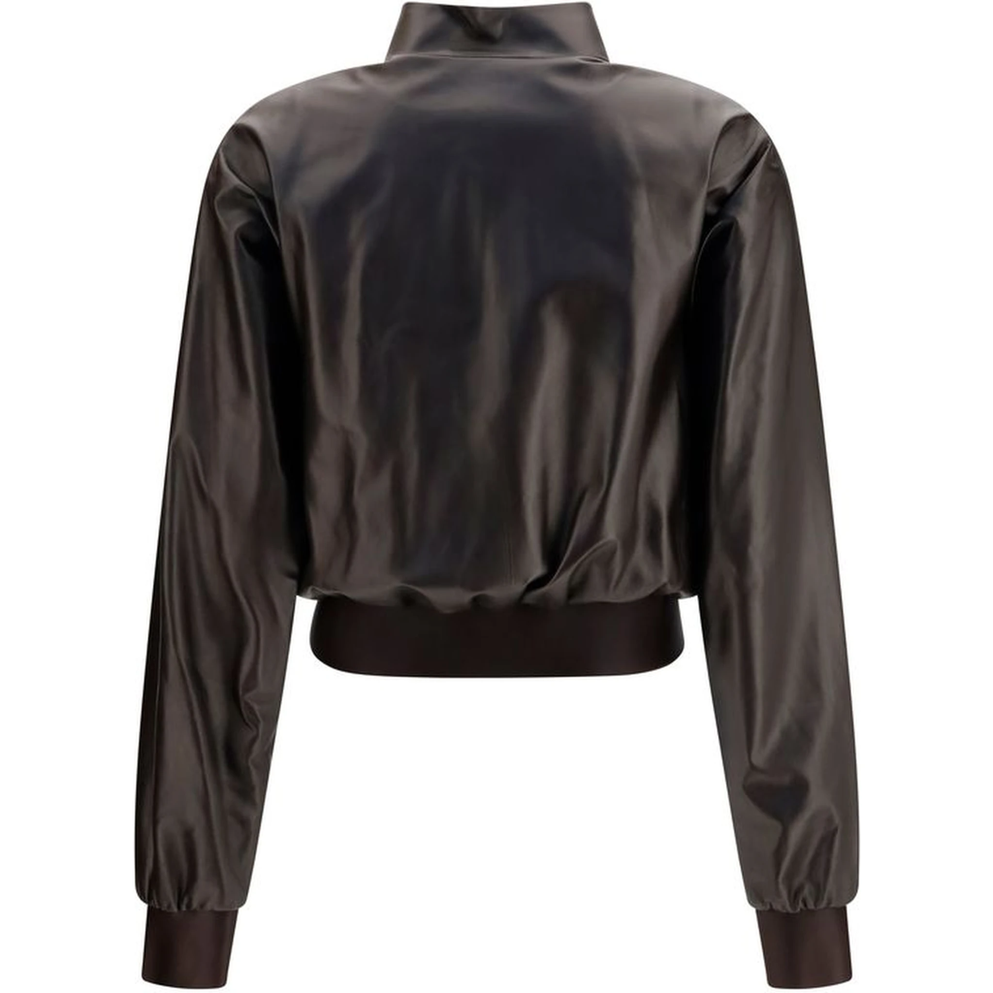 Brown Lamb Ovis Aries Aries Bomber