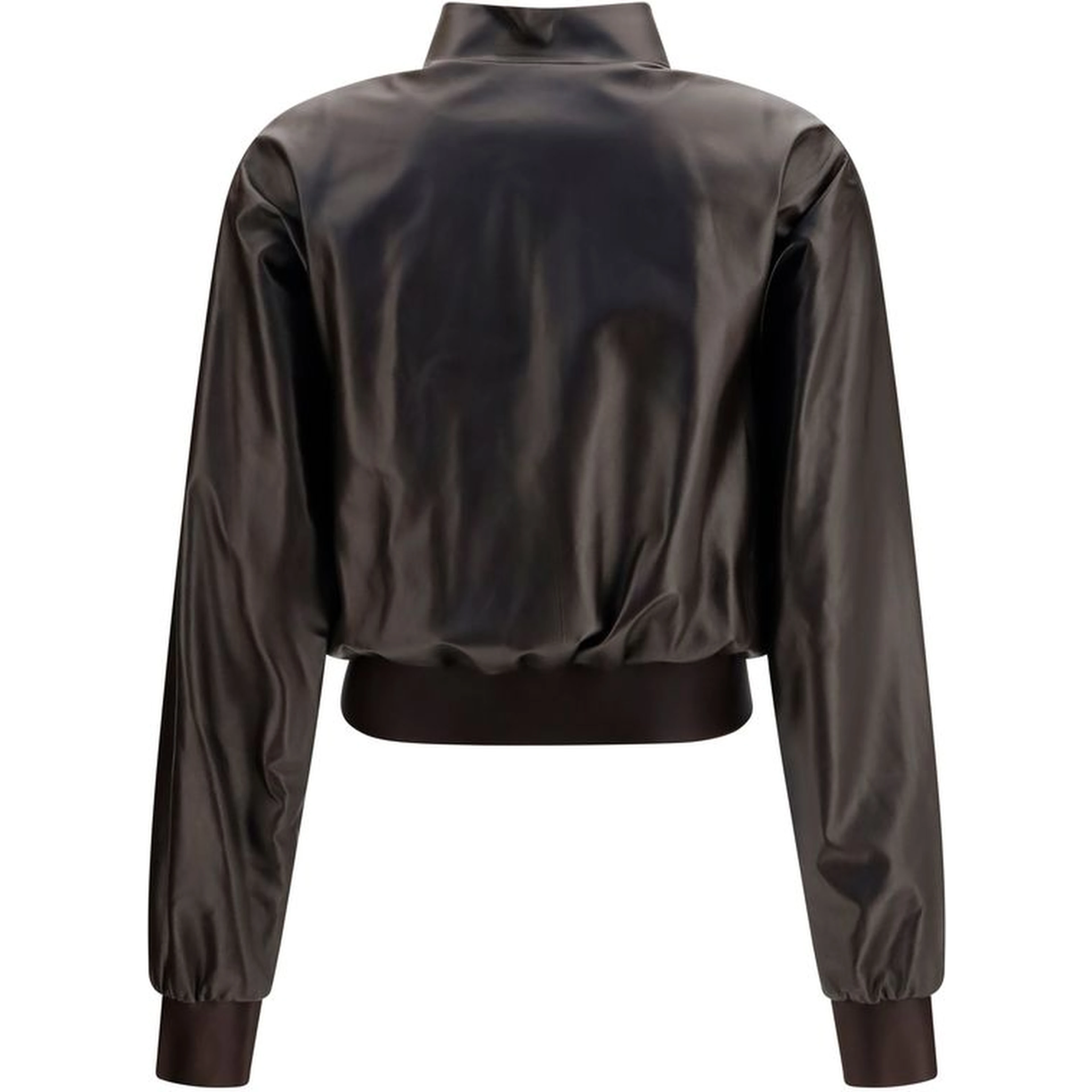 Brown Lamb Ovis Aries Aries Bomber