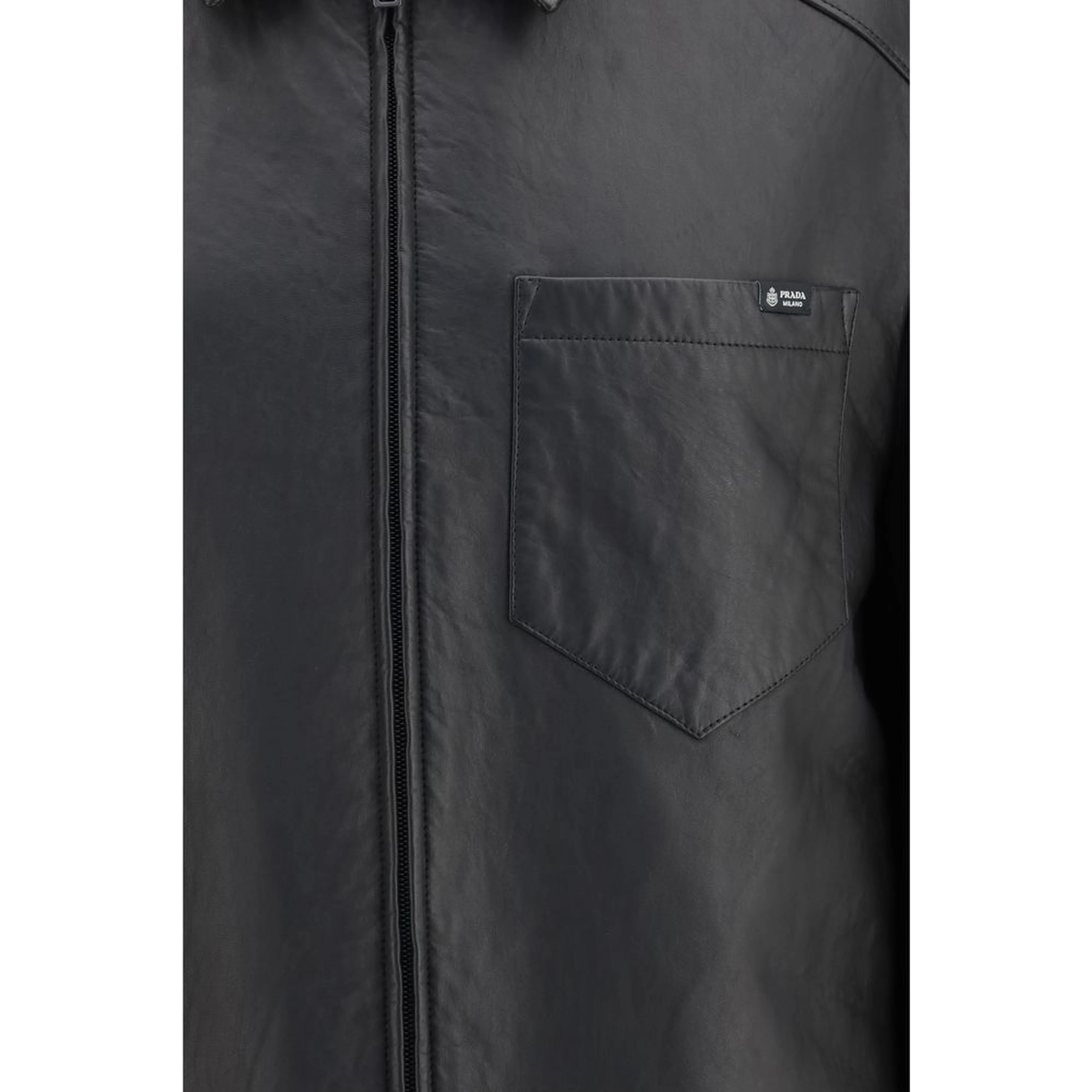Black Lamb Ovis Aries Aries Leather Jacket